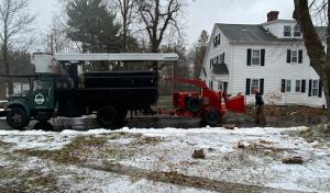 Orloff Tree Service & Excavation