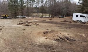 Strike Tree Services