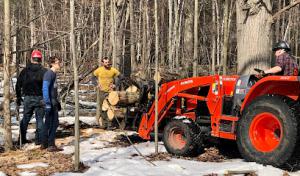 Concord Tree Service