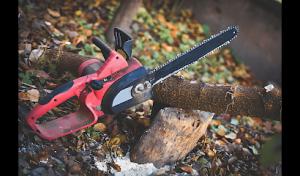 San Rafael Tree Service