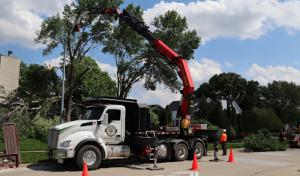 TreeHugger Complete Tree Care