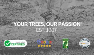 Ouachita Tree Service