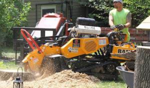 D&J's Complete Tree Service - Ankeny