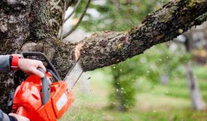 Blackwater On-Site Septic System Repair & Installation