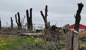 Iowa River Tree Service