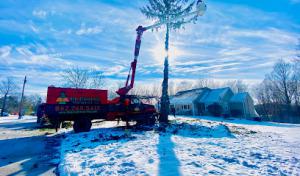 Blessing Tree Service