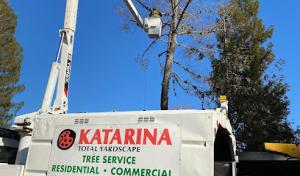 Katarina Total Yardscape