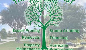 Treasure Coast Tree Care