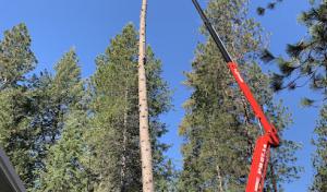 Treescapes, Inc. Pruning, Removal & Landscape Specialists