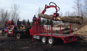 Brongo's Tree Service