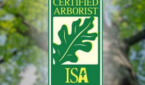 Googe Tree Service & Design