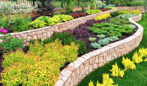 San Marcos Landscaping, Tree & Lawn