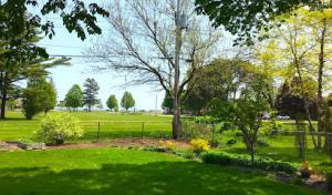 Aaron's Tree Service