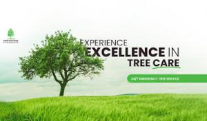 Tree Masters of Tennessee