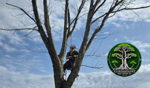 Generations Tree Expert