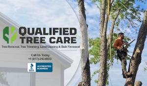 Qualified Tree Care