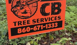 CB Tree Services