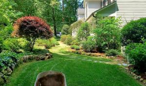 Barreras Landscaping & Tree Service