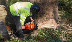 Tom's Septic & Drain