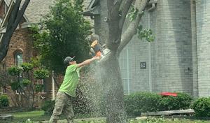 Beebe's Excavation & Septic Service