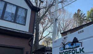 Norfolk Tree Service