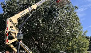 Ziegelbauer Septic Service