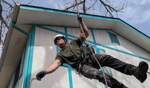 Geckos Lawn & Tree Care