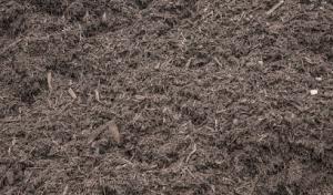 Environmental Septic