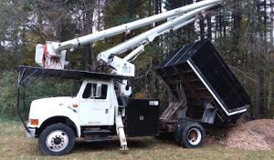 Taylor Tree & Stump Removal