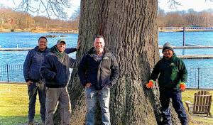 Gedney Tree Care