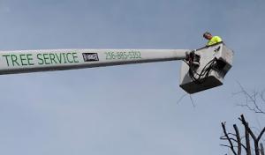 Diamond Tree Service