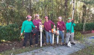 Tree Service -N- More