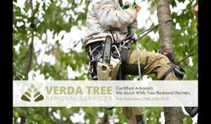 Verda Tree Removal Services