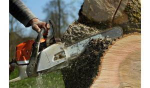 Newcastle Tree Service