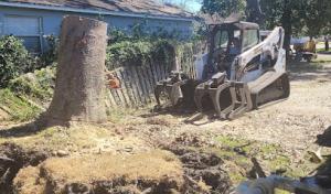 JRB Tree Service & Stump Grinding
