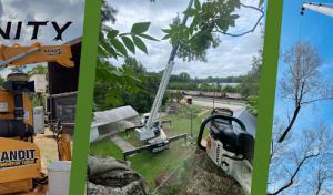 Infinity Tree Service