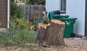 North Texas Septic Solutions