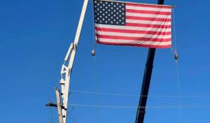 Apex Solutionz Tree Service