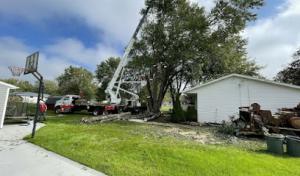 Enterprise Tree Service