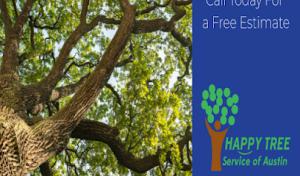 Happy Tree Service of Austin