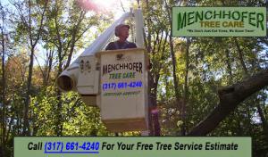 Menchhofer Tree Care