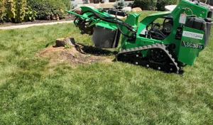 Clean Septic Tank Services