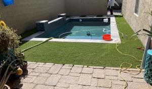 Yahweh Tree & Landscape