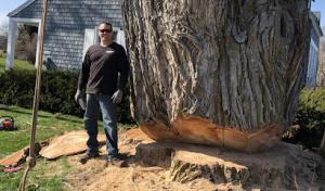 Stumpbusters of Central New York