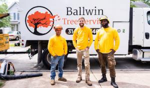Ballwin Tree Service