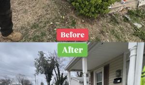 Coreas Tree Services