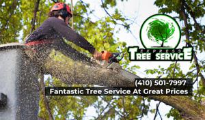 Express Tree Service