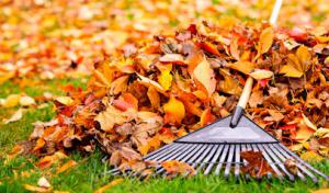 Key Plumbing & Septic Services