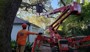 Septic Environmental Services