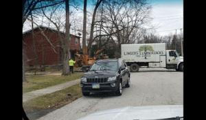 Linger's Lumberjacks